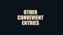 OTHER CONVEVIENT ENTRIES